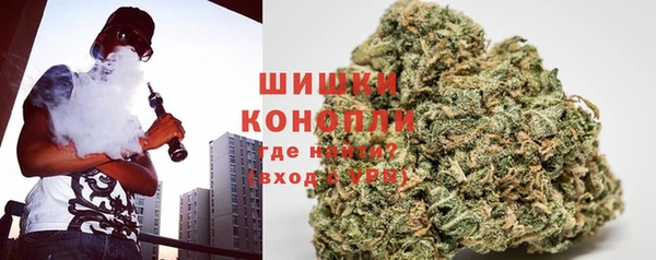сатива Краснослободск