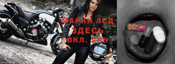 сатива Краснослободск